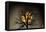 Sunset behind a tree-Marco Carmassi-Framed Premier Image Canvas