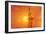 Sunset Behind the Statue of Liberty-Tony Craddock-Framed Photographic Print