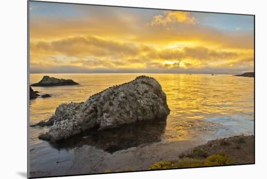 Sunset, Bird Island, Point Lobos State Reserve, California, USA-Michel Hersen-Mounted Photographic Print