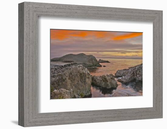 Sunset, Bird Island, Point Lobos State Reserve, California, USA-Michel Hersen-Framed Photographic Print