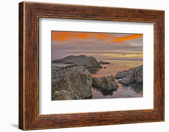 Sunset, Bird Island, Point Lobos State Reserve, California, USA-Michel Hersen-Framed Photographic Print