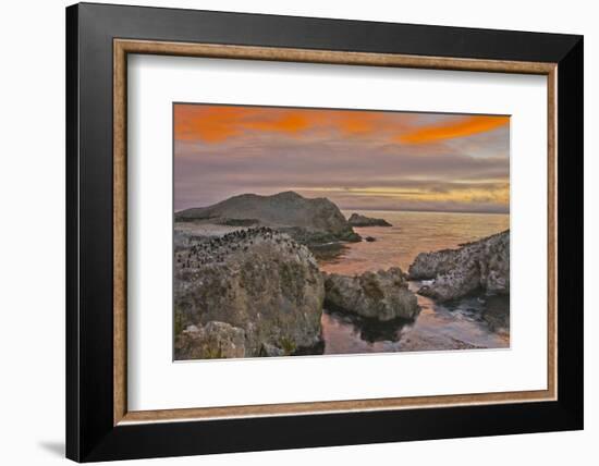 Sunset, Bird Island, Point Lobos State Reserve, California, USA-Michel Hersen-Framed Photographic Print