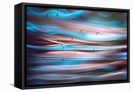 Sunset Birds-Ursula Abresch-Framed Premier Image Canvas