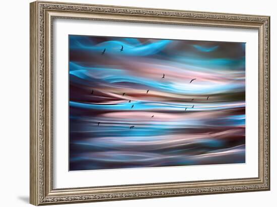 Sunset Birds-Ursula Abresch-Framed Photographic Print