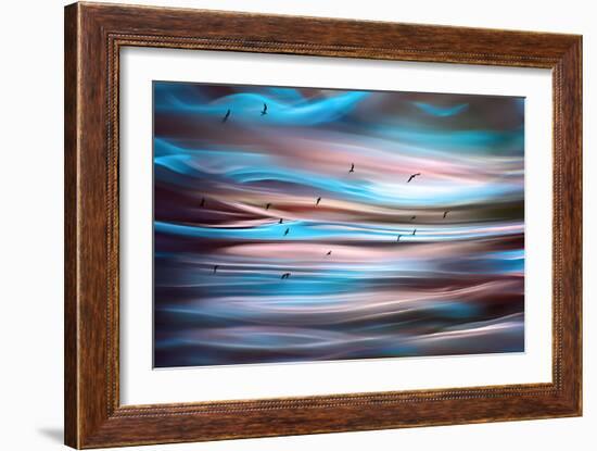 Sunset Birds-Ursula Abresch-Framed Photographic Print