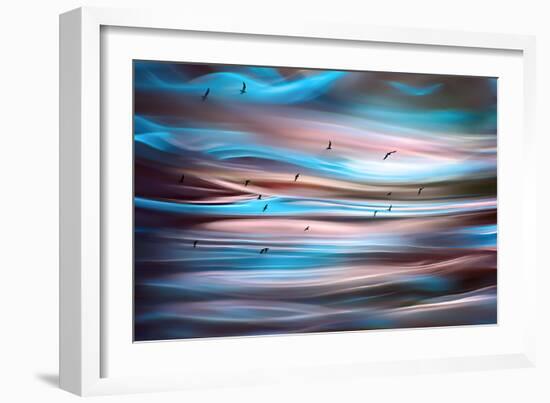 Sunset Birds-Ursula Abresch-Framed Photographic Print