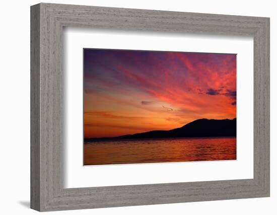 Sunset Birds-Ursula Abresch-Framed Photographic Print