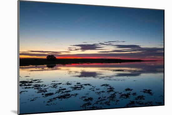 Sunset Blue Hour on the Causeway on Holy Island, Northumberland England UK-Tracey Whitefoot-Mounted Photographic Print