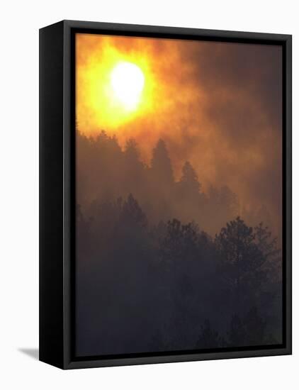 Sunset Breaks Through Smoke of the Hayman Wildfire-null-Framed Premier Image Canvas