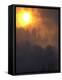 Sunset Breaks Through Smoke of the Hayman Wildfire-null-Framed Premier Image Canvas