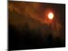 Sunset Breaks Through Smoke of the Hayman Wildfire-null-Mounted Photographic Print