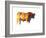 Sunset Bull, 2010-Mark Adlington-Framed Photographic Print