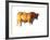 Sunset Bull, 2010-Mark Adlington-Framed Photographic Print