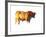 Sunset Bull, 2010-Mark Adlington-Framed Photographic Print