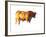 Sunset Bull, 2010-Mark Adlington-Framed Photographic Print