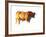 Sunset Bull, 2010-Mark Adlington-Framed Photographic Print