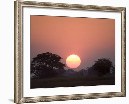 Sunset, Busanga Plains, Kafue National Park, Zambia, Africa-Sergio Pitamitz-Framed Photographic Print