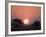 Sunset, Busanga Plains, Kafue National Park, Zambia, Africa-Sergio Pitamitz-Framed Photographic Print