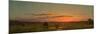 Sunset, C.1880 (Oil on Canvas)-Martin Johnson Heade-Mounted Giclee Print