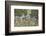 Sunset, c.1918-Maurice Brazil Prendergast-Framed Art Print