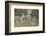 Sunset, c.1918-Maurice Brazil Prendergast-Framed Art Print