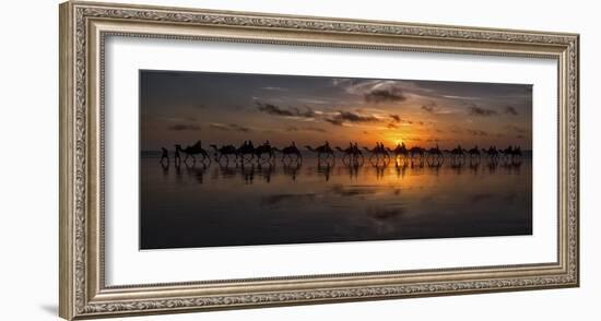 Sunset Camel Safari-Louise Wolbers-Framed Giclee Print