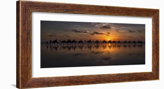 Sunset Camel Safari-Louise Wolbers-Framed Giclee Print