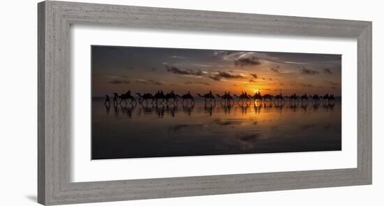 Sunset Camel Safari-Louise Wolbers-Framed Giclee Print