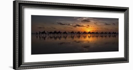 Sunset Camel Safari-Louise Wolbers-Framed Giclee Print