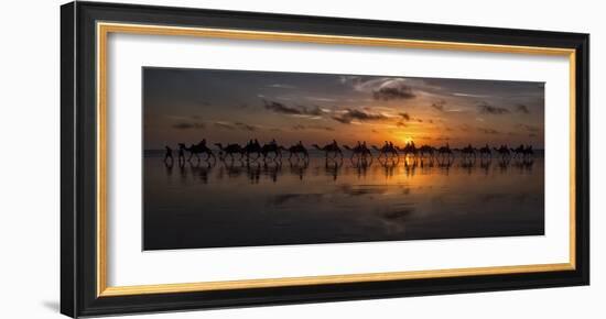 Sunset Camel Safari-Louise Wolbers-Framed Giclee Print