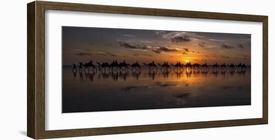 Sunset Camel Safari-Louise Wolbers-Framed Giclee Print