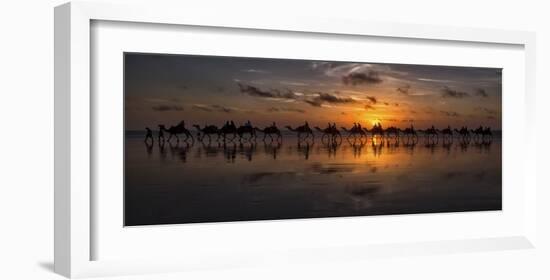 Sunset Camel Safari-Louise Wolbers-Framed Giclee Print