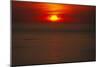 Sunset, Cape Town, South Africa (Photo)-null-Mounted Giclee Print