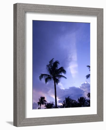 Sunset, Captiva Island, Florida-Maresa Pryor-Framed Photographic Print