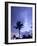 Sunset, Captiva Island, Florida-Maresa Pryor-Framed Photographic Print