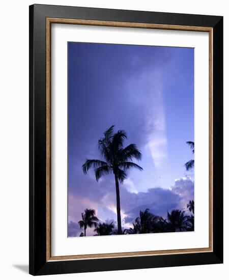 Sunset, Captiva Island, Florida-Maresa Pryor-Framed Photographic Print