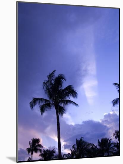 Sunset, Captiva Island, Florida-Maresa Pryor-Mounted Photographic Print