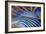 Sunset Chill-Martin Nasim-Framed Giclee Print