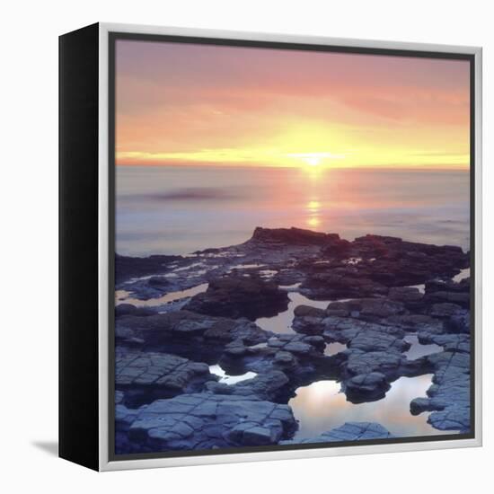 Sunset Cliffs Tidepools on the Pacific Ocean Reflecting the Sunset, San Diego, California, USA-Christopher Talbot Frank-Framed Premier Image Canvas