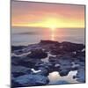 Sunset Cliffs Tidepools on the Pacific Ocean Reflecting the Sunset, San Diego, California, USA-Christopher Talbot Frank-Mounted Photographic Print