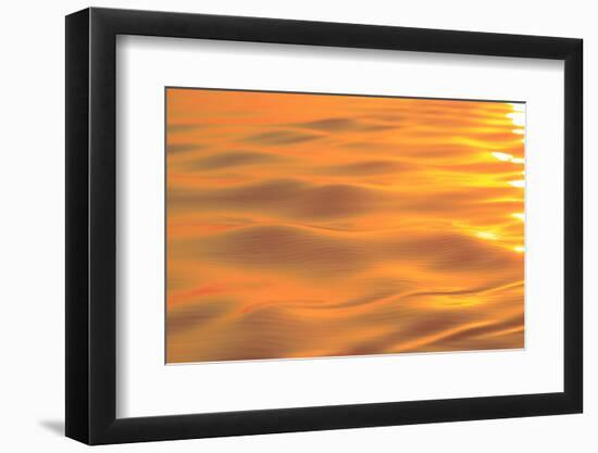 Sunset colors and patterns on small waves in water.-Stuart Westmorland-Framed Photographic Print