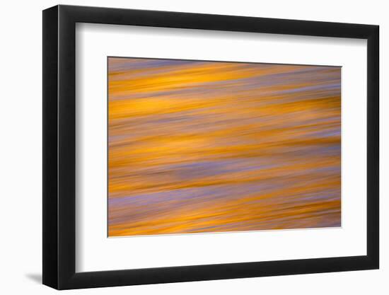 Sunset colors and trees reflecting on Snake River, Grand Teton National Park.-Adam Jones-Framed Photographic Print