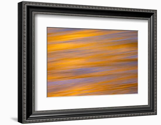 Sunset colors and trees reflecting on Snake River, Grand Teton National Park.-Adam Jones-Framed Photographic Print