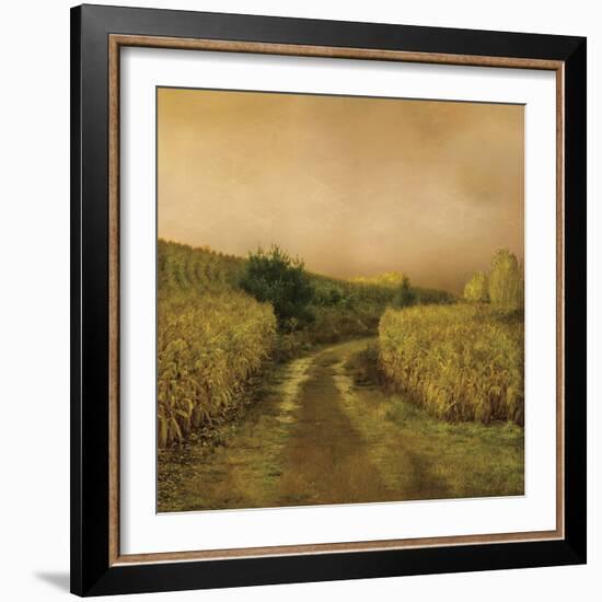 Sunset Cornfield-Dawne Polis-Framed Art Print