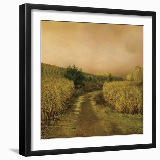 Sunset Cornfield-Dawne Polis-Framed Art Print