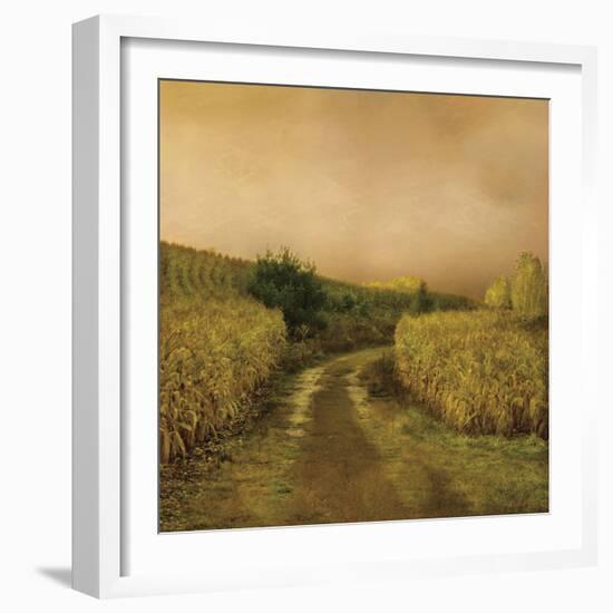 Sunset Cornfield-Dawne Polis-Framed Art Print