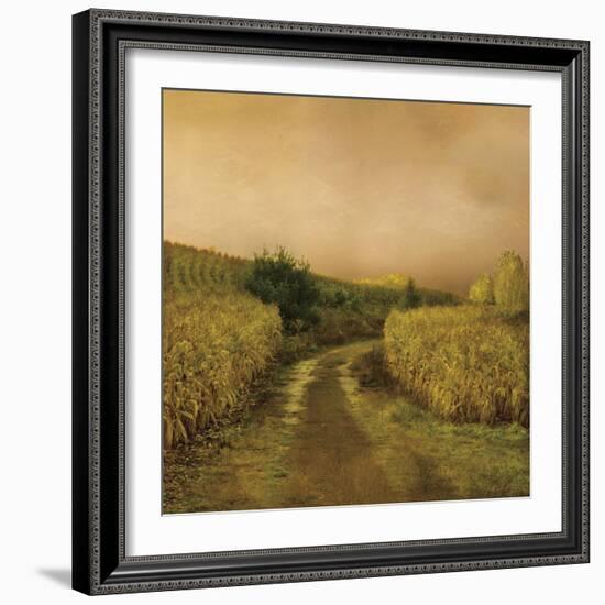 Sunset Cornfield-Dawne Polis-Framed Art Print