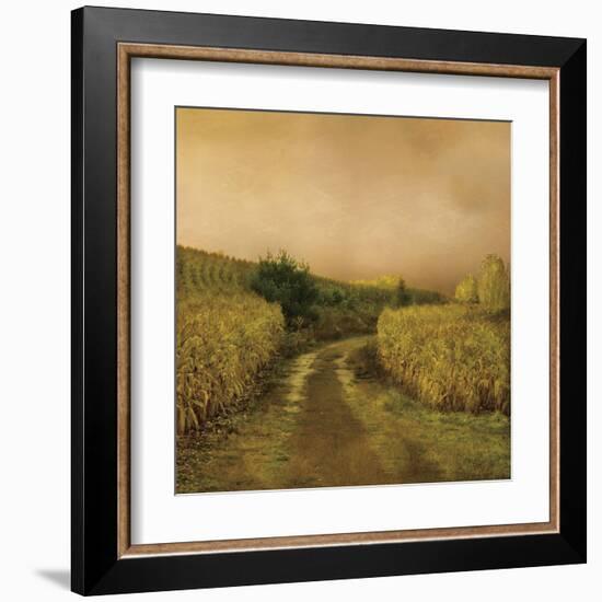 Sunset Cornfield-Dawne Polis-Framed Art Print