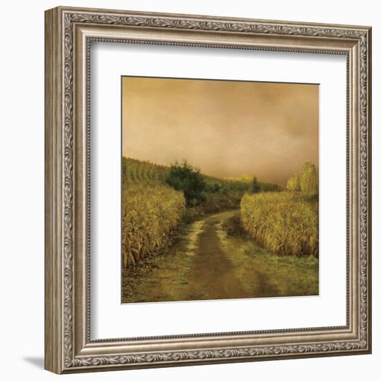 Sunset Cornfield-Dawne Polis-Framed Art Print