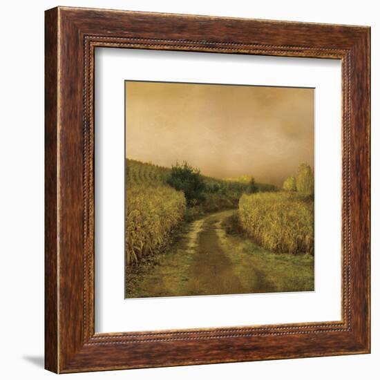 Sunset Cornfield-Dawne Polis-Framed Art Print